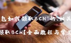 以下是关于“比特币钱包