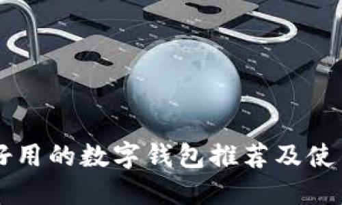 国外好用的数字钱包推荐及使用指南