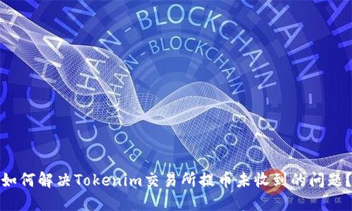 如何解决Tokenim交易所提币未收到的问题？