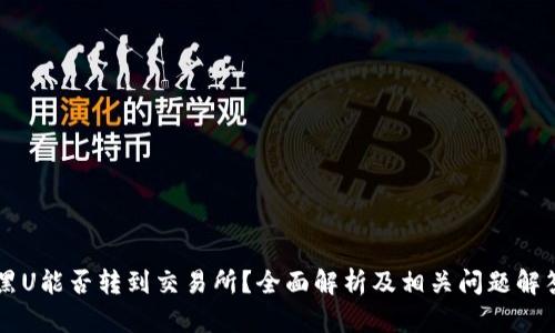 黑U能否转到交易所？全面解析及相关问题解答