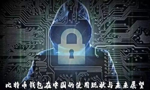 
 比特币钱包在中国的使用现状与未来展望 