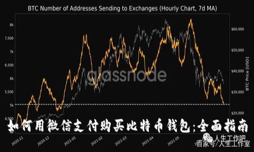 如何用微信支付购买比特币钱包：全面指南