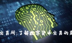 币赢交易所：了解数字货