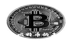 Tokenim：探索比特币的未来