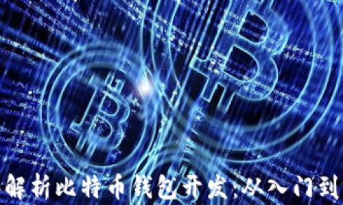 
全面解析比特币钱包开发：从入门到精通