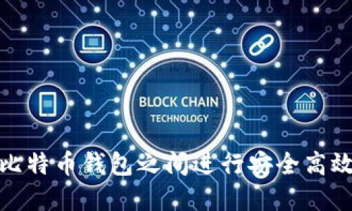 如何在比特币钱包之间进行安全高效的转账