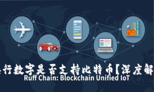 央行数字是否支持比特币？深度解析